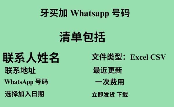 牙买加 Whatsapp 数据