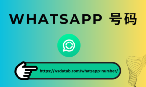 WhatsApp 号码 